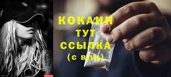 гидра Белоозёрский